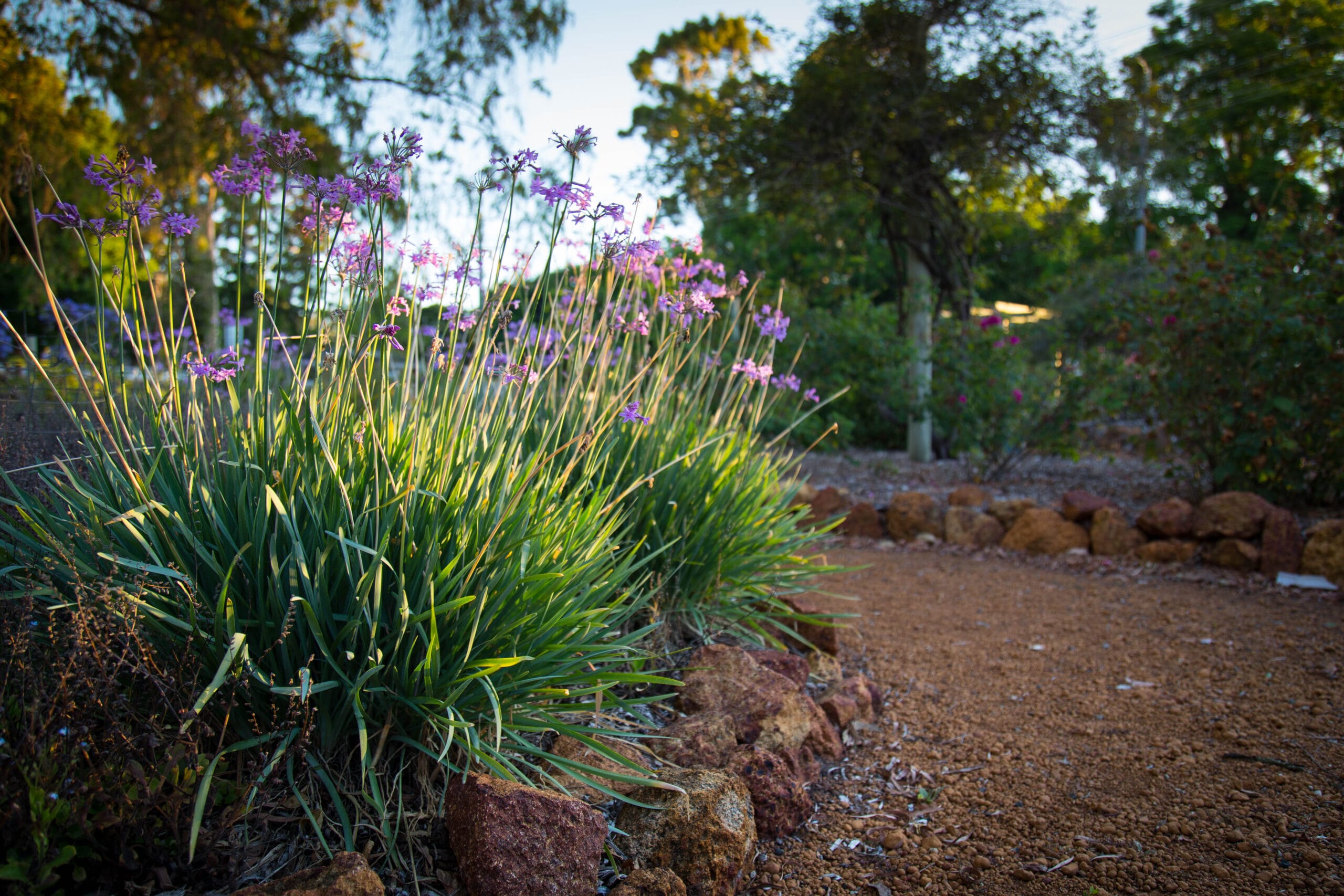 Lessons From The Garden
